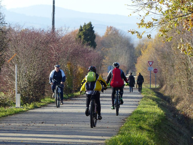 Velo_voie_verte_Beaujolais_cyclistes